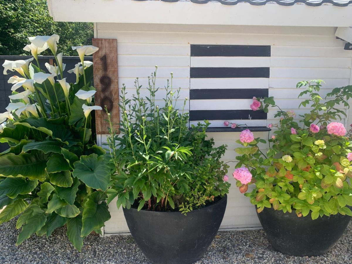 Cottage Le Cerf-Volant Saint-Aubin-Sur-Mer  Luaran gambar